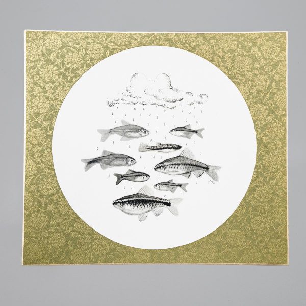 Olalla Castro: Fische, Collage